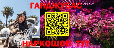 мдпв Мариинск