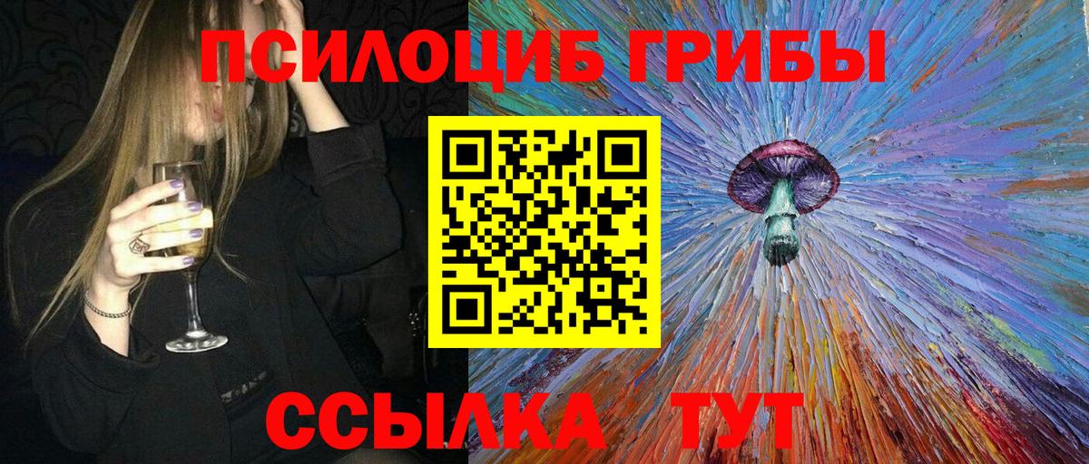 Галлюциногенные грибы Psilocybe Узловая